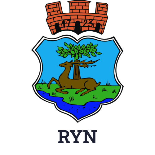 Detektyw Ryn